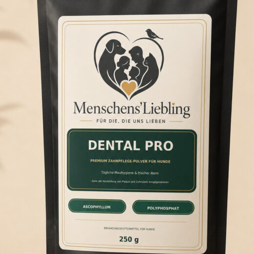 Dental Pro