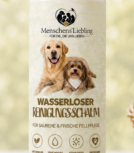 Reinigungsschaum · Wasserlos